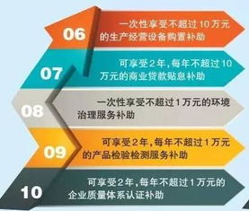 重慶力推“雙輪驅動”發展戰略 新增8項紙箱業微企扶持項目，加速軟件產業布局