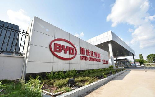 走進弗迪電池重慶工廠 解密比亞迪刀片電池與重慶軟件開發的雙重驅動